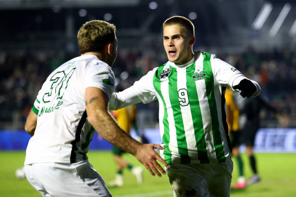 定性因素 定性因素